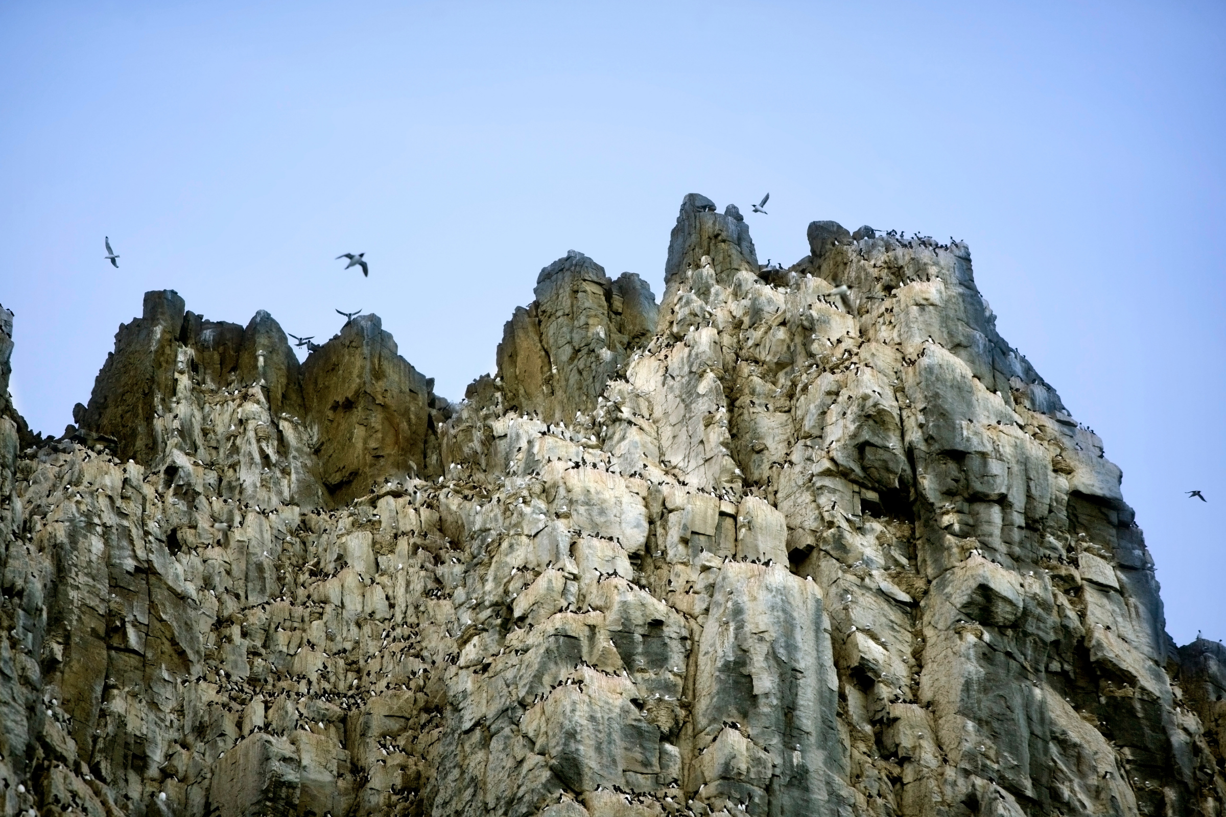 34 coburg island, nunavut.webp